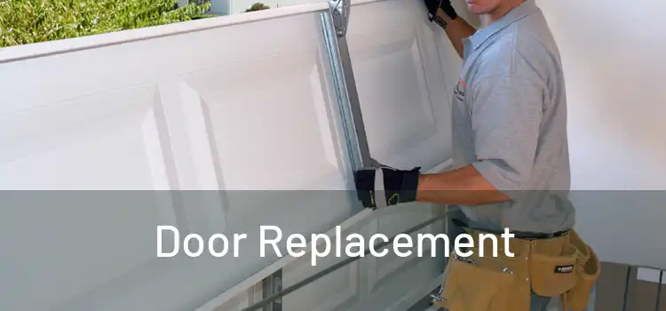  Door Replacement 